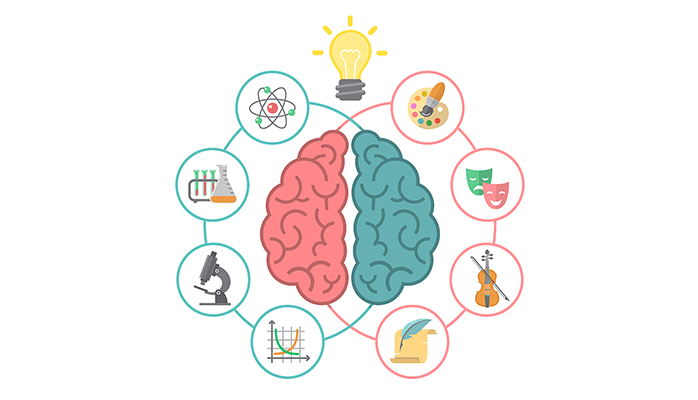การเรียนรู้โดยใช้ สมอง เป็นฐาน (Brain based Learning: BBL)