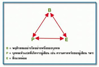 ทฤษฎีการเรียนรู้