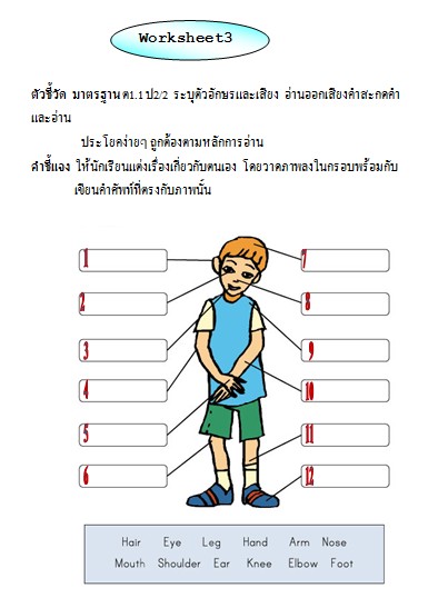 ใบงาน วิชาภาษาอังกฤษ ป.2