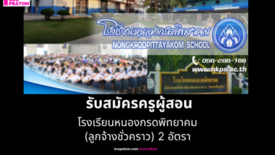 โรงเรียนหนองกรดพิทยาคม รับสมัครครูผู้สอน (ลูกจ้างชั่วคราว) 2 อัตรา – จ.นครสวรรค์