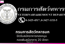 กรมการสัตว์ทหารบก เปิดรับสมัครทหารกองหนุน เข้าเป็น 'พลอาสาสมัคร' กองพันสุนัขทหาร 20 อัตรา